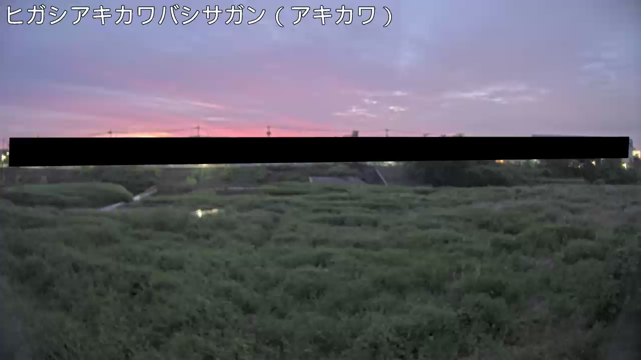 静止画