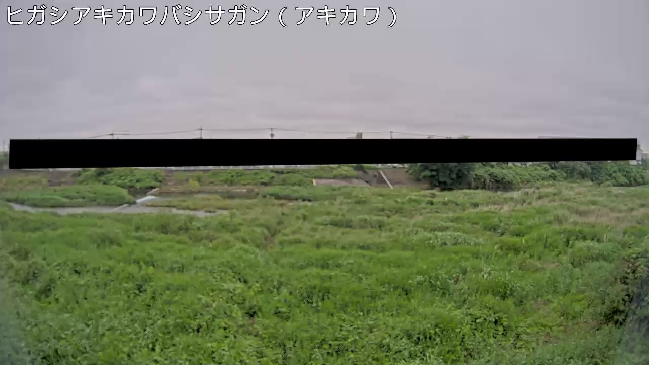 静止画
