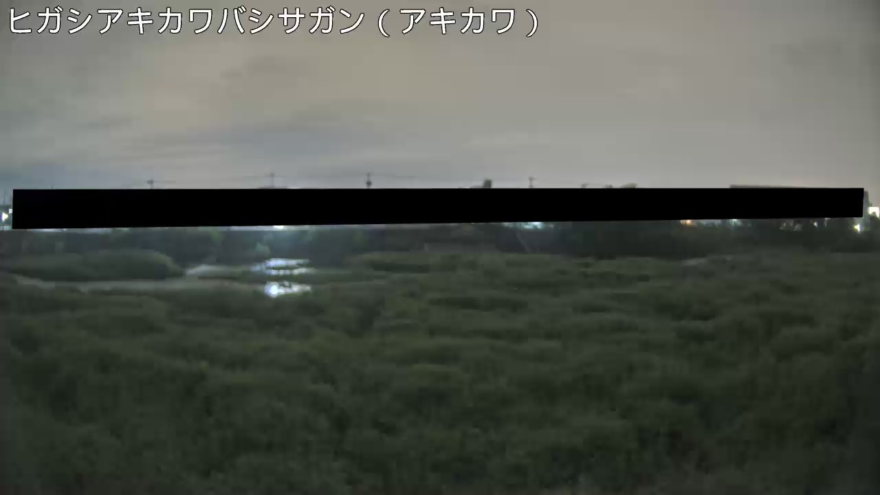 静止画