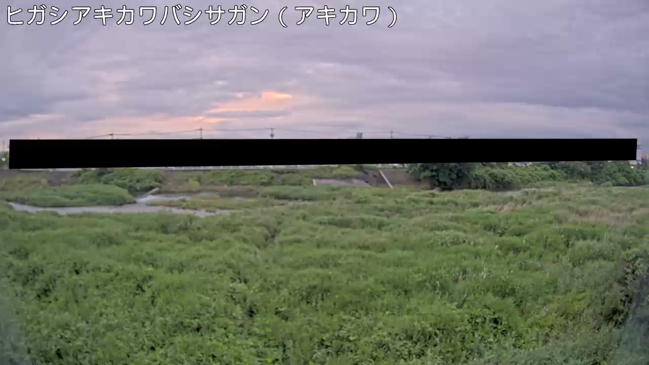 静止画