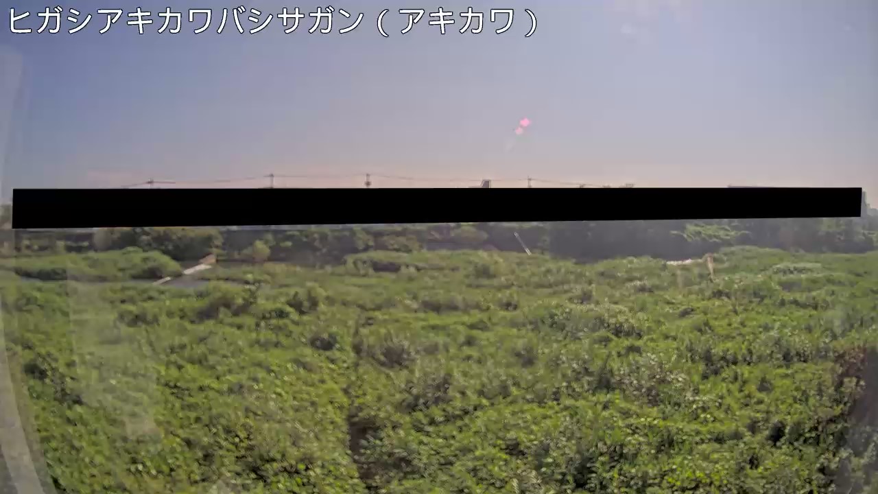 静止画