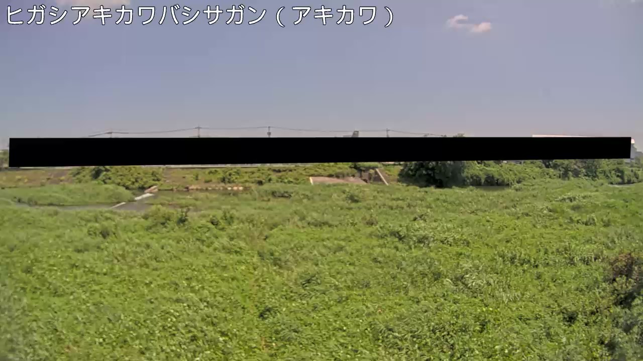 静止画