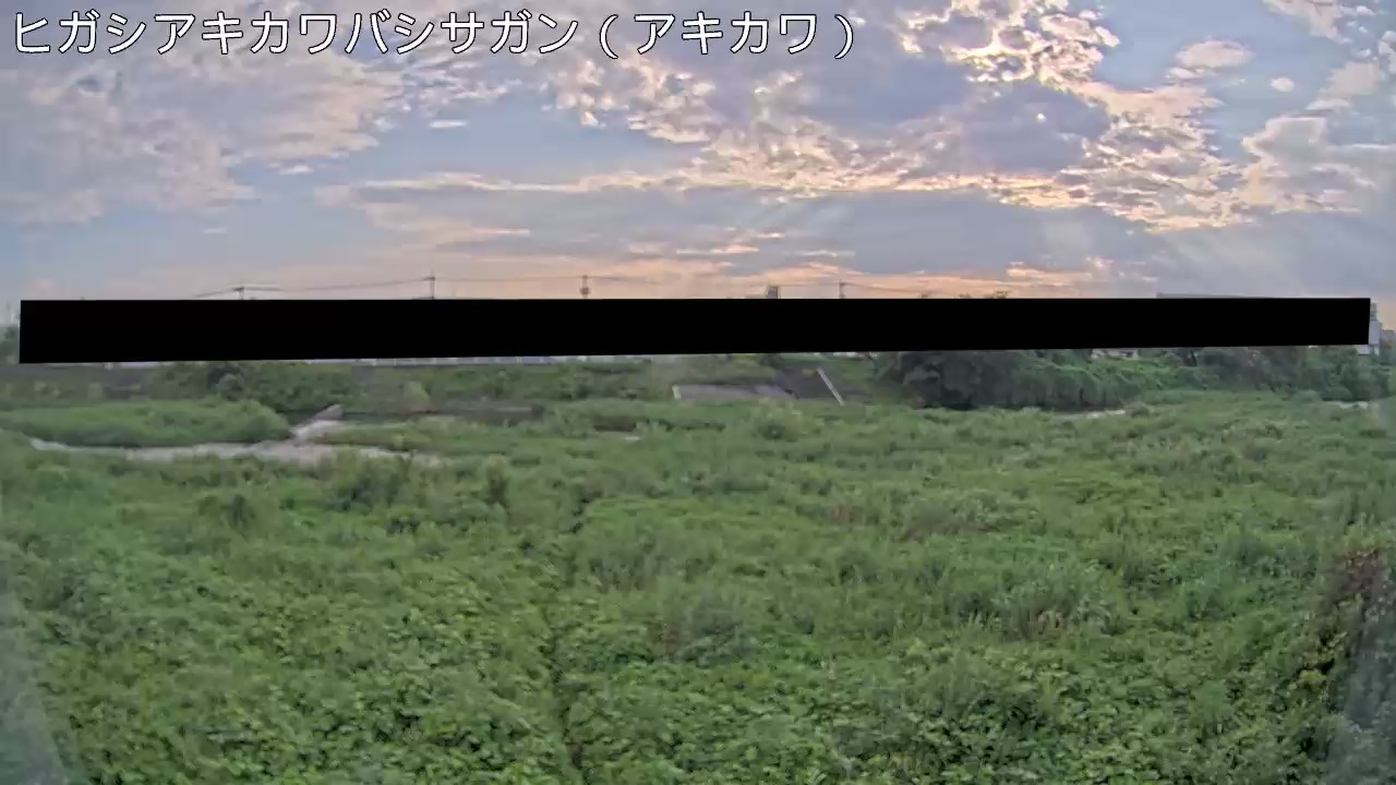 静止画