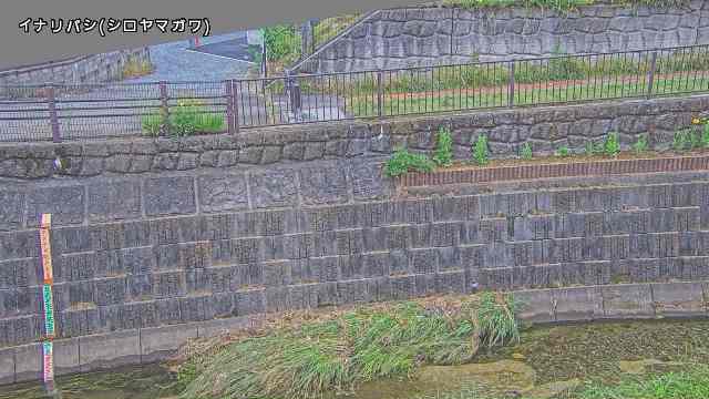 静止画