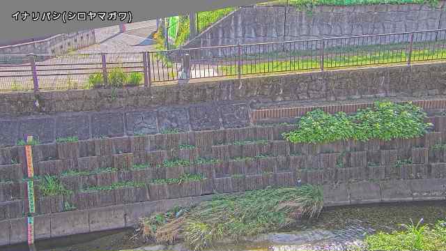 静止画