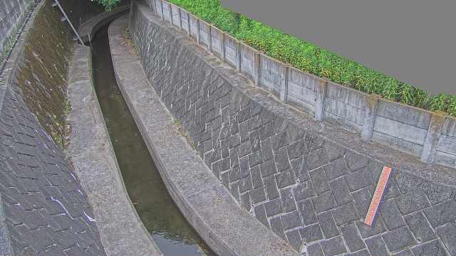 静止画