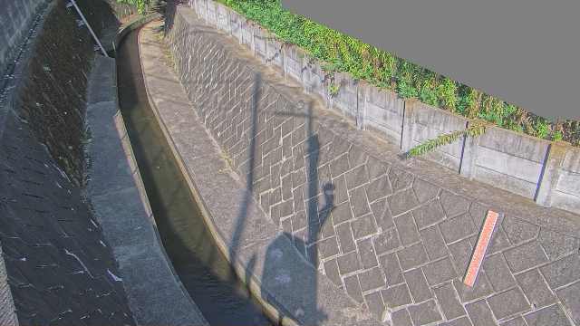 静止画