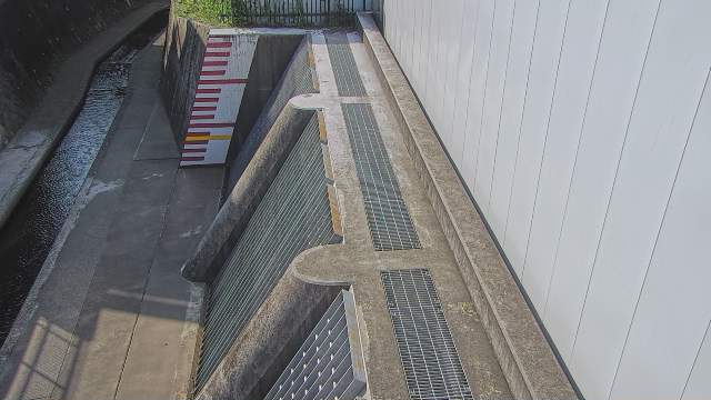 静止画