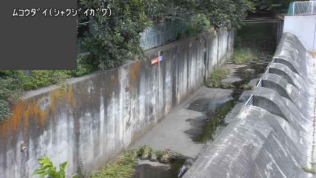 静止画