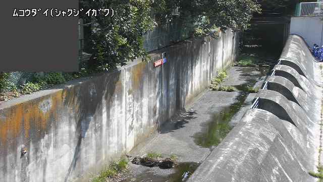 静止画