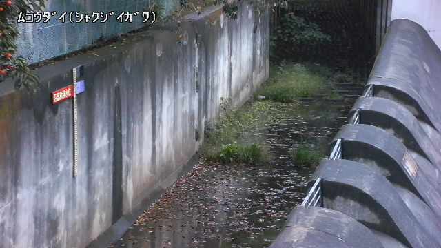 静止画