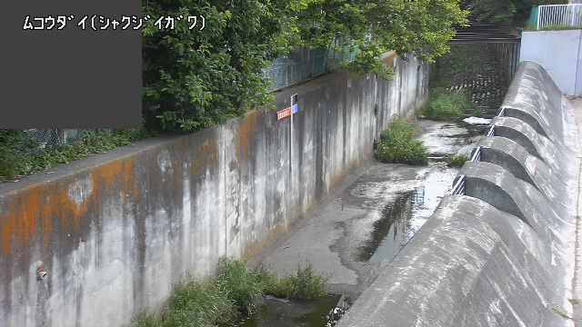 静止画