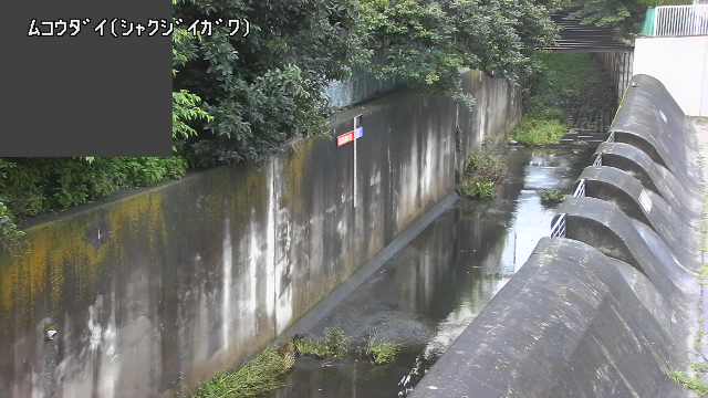 静止画