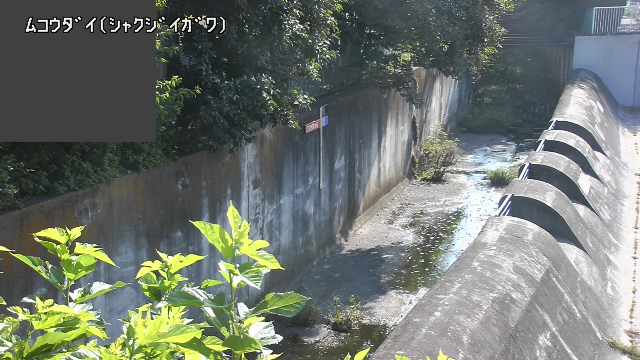 静止画