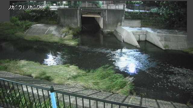 静止画