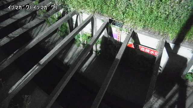 静止画