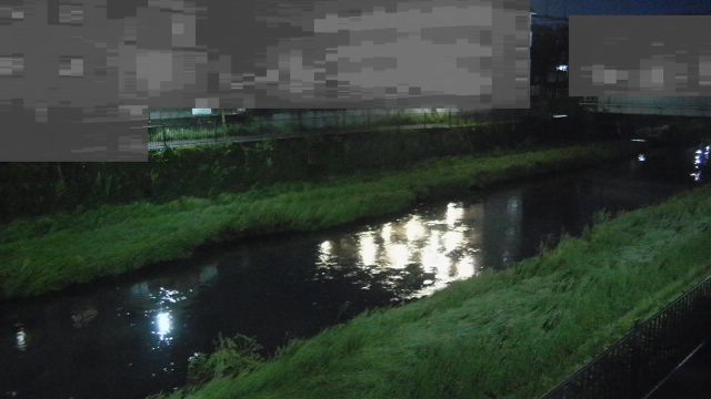 静止画