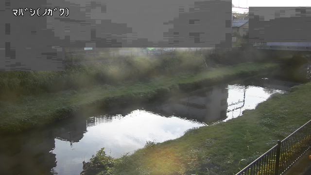 静止画