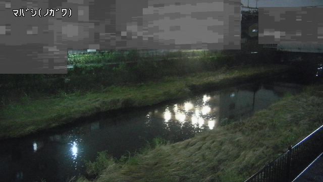 静止画