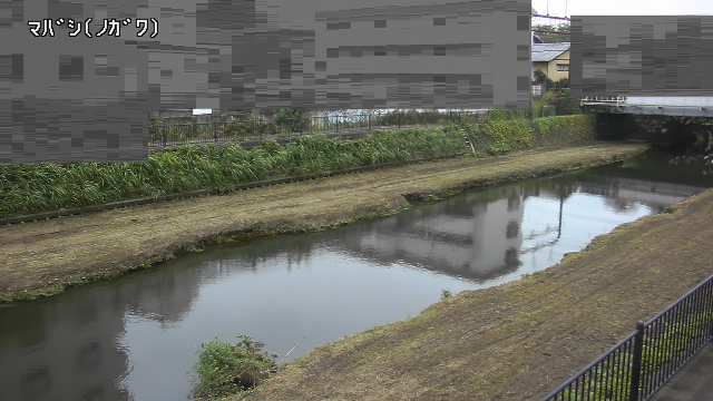 静止画