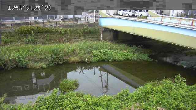 静止画
