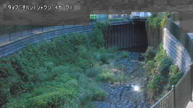 静止画