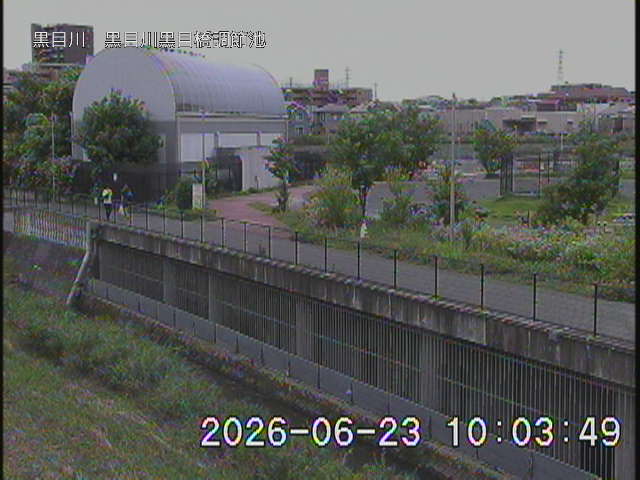 静止画