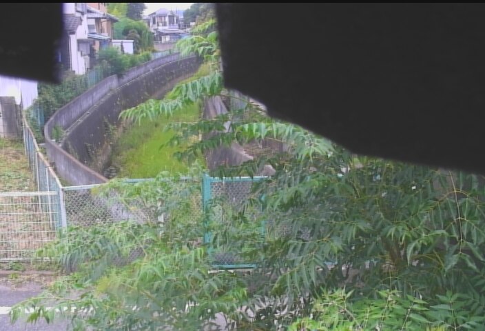 静止画