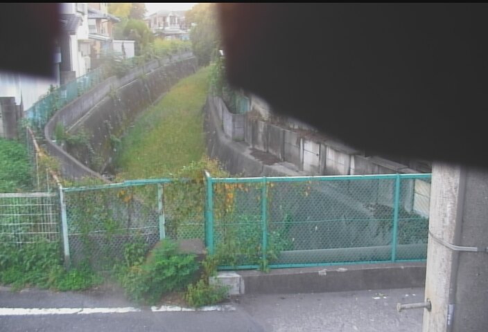 静止画