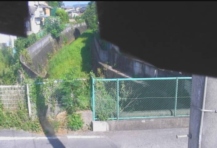 静止画