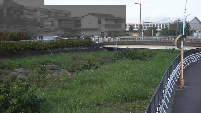 静止画