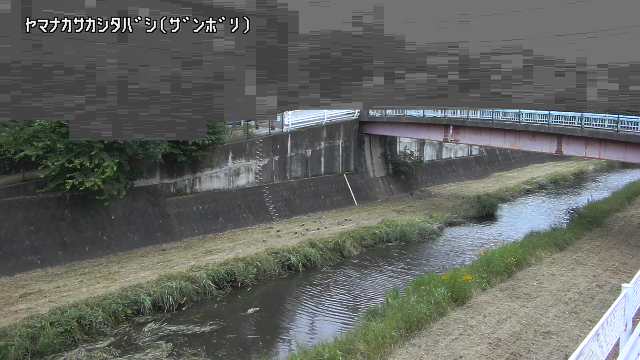 静止画
