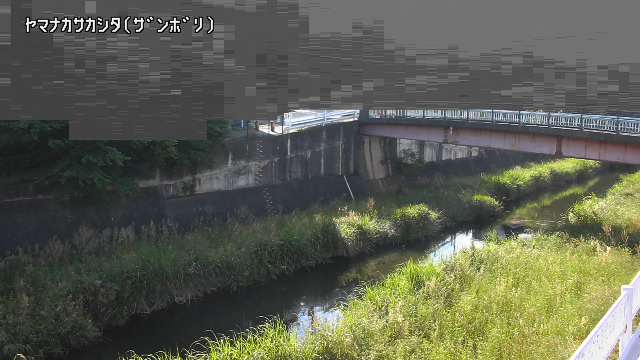 静止画