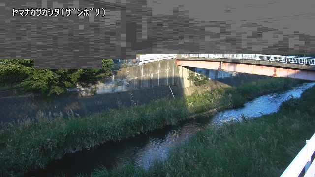 静止画