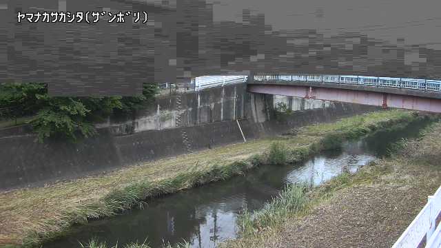 静止画