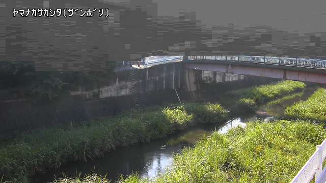 静止画