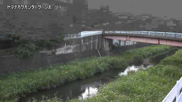 静止画