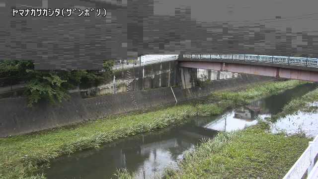 静止画