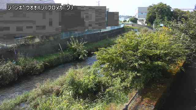 静止画