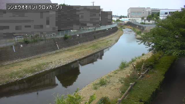 静止画