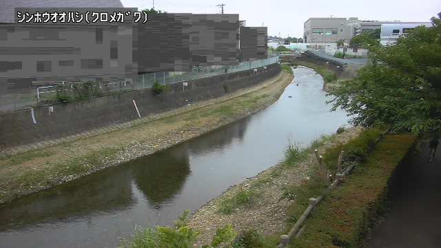 静止画