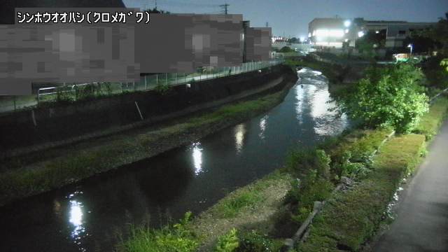 静止画
