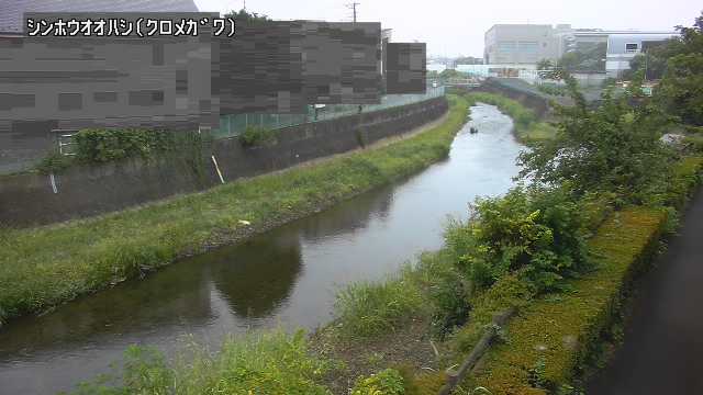 静止画