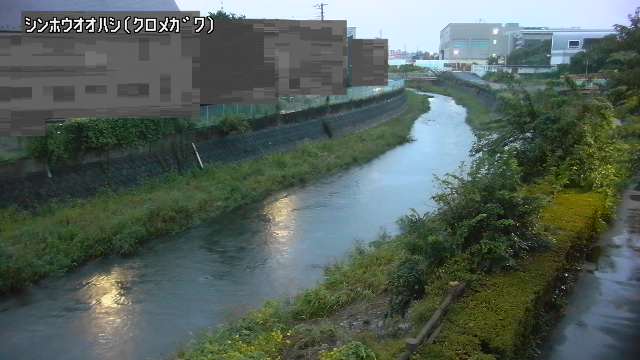 静止画
