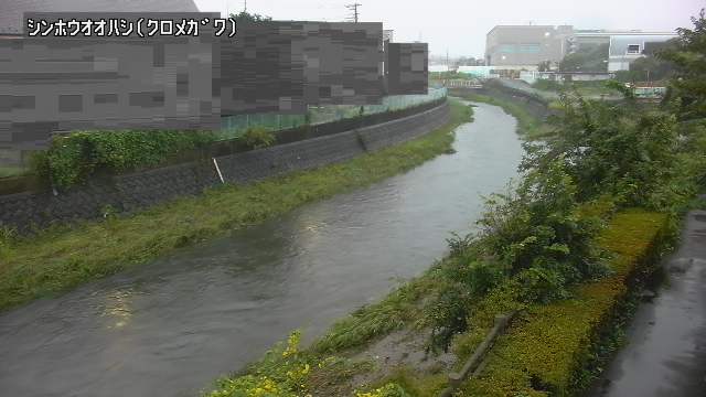 静止画