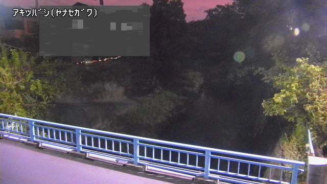 静止画