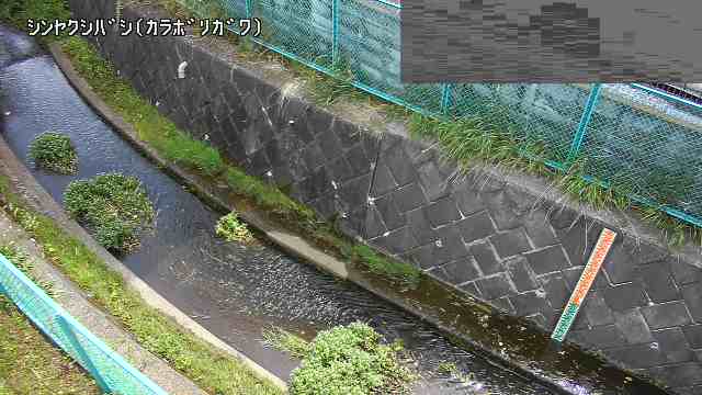 静止画