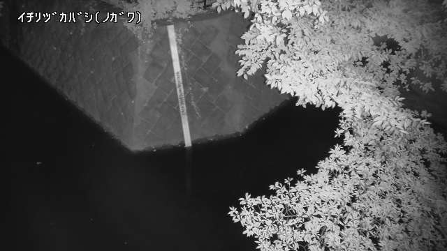 静止画