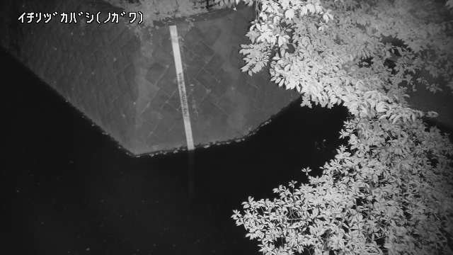 静止画