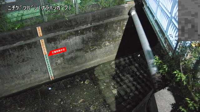 静止画
